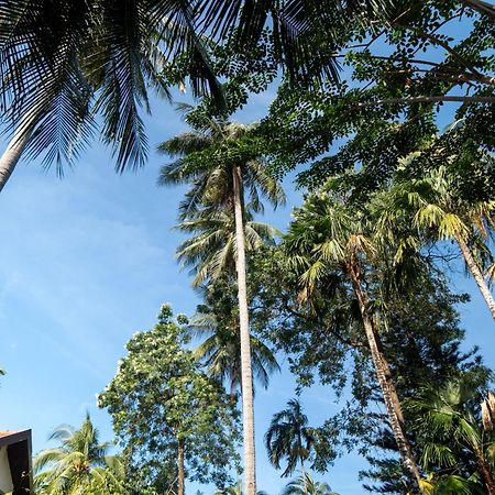 Phuket Leelavadee Hua Ting Resort Patong Ngoại thất bức ảnh