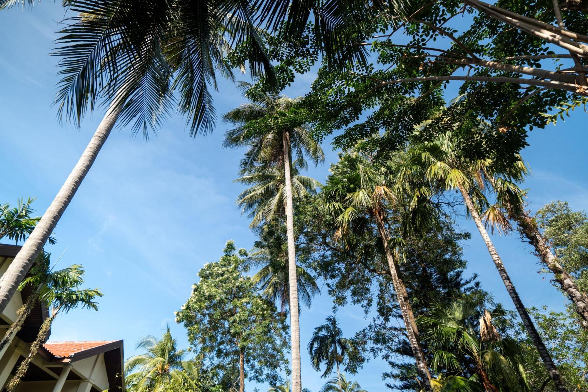 Phuket Leelavadee Hua Ting Resort Patong Ngoại thất bức ảnh
